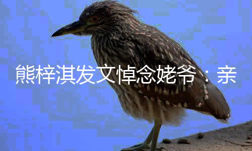 文悼爷爷 一路淇发亲爱念姥走好熊梓的姥