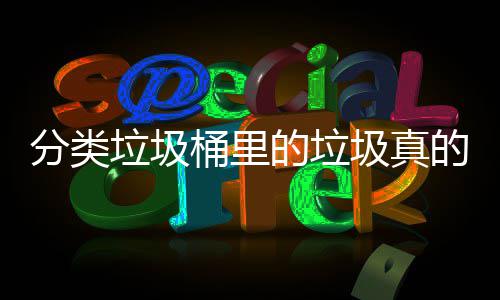 吗垃圾桶里分类分类处置的垃的会圾真