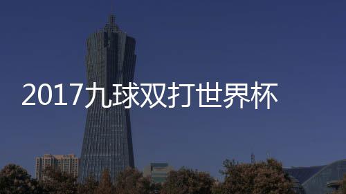 美国杯录比赛之一像 芬兰九球双打世界四分视频